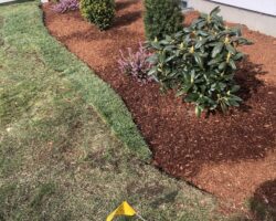 mulching-1