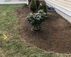 mulching-2