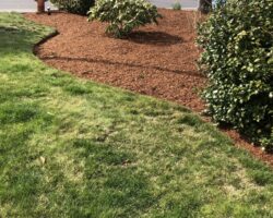 Vision Landscaping & Tree Services